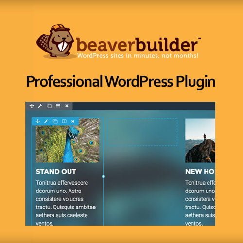 Beaver-Builder-Professional-WordPress-Plugin.jpg Beaver Builder Professional WordPress Plugin - Image 1