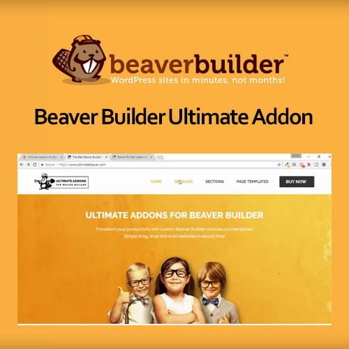 Beaver-Builder-Ultimate-Addon.jpg Beaver Builder Ultimate Addon - Image 1