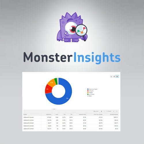MonsterInsights-Ads-Addon.jpg MonsterInsights - Ads Addon - Image 1
