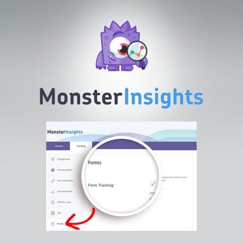 MonsterInsights-Forms-Tracking-Addon.jpg MonsterInsights - Forms Tracking Addon - Image 1