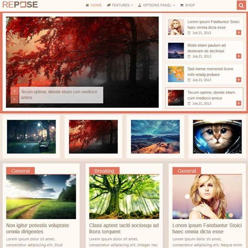 MyThemeShop-Repose-WordPress-Theme.jpg MyThemeShop Repose WordPress Theme - Image 1